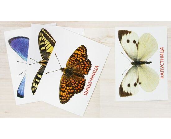 Обучающие карточки по методике Г. Домана "Бабочки"