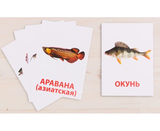 Обучающие карточки по методике Г. Домана "Рыбы"