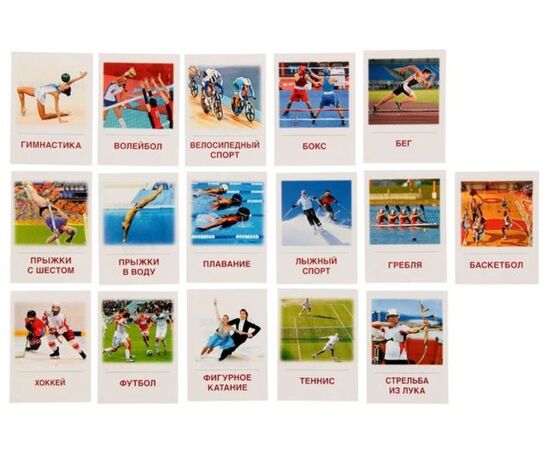 Карточки для изучения "Виды спорта" 16 шт