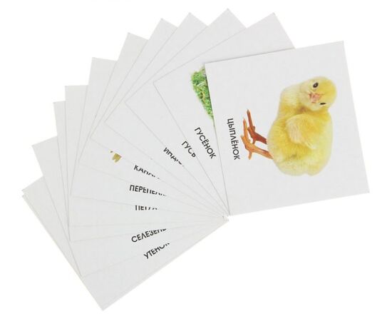 Обучающие карточки "Домашние птицы"