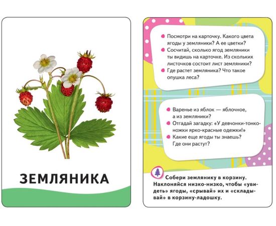 Умные карточки "В лесу" 32 карточки