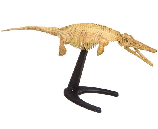 Археологический набор раскопок "Ихтиозавр"