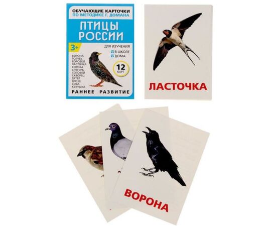 Обучающие карточки по методике Г. Домана "Птицы России"