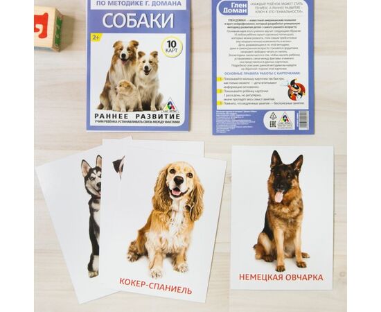 Обучающие карточки по методике Г. Домана "Собаки"