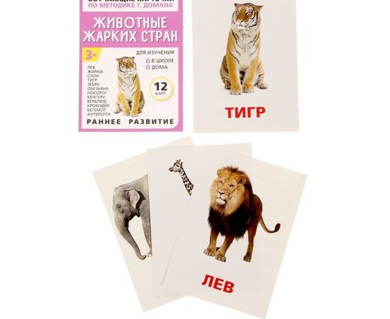 Обучающие карточки по методике Г. Домана "Животные жарких стран"