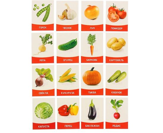 Обучающие карточки "Овощи" 16 штук