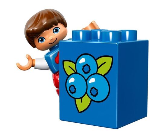 Конструктор LEGO Duplo "Мой первый трактор"