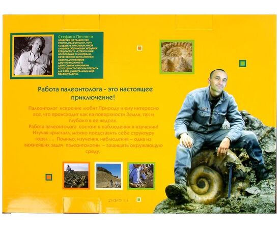 Набор юного археолога "Аммониты"