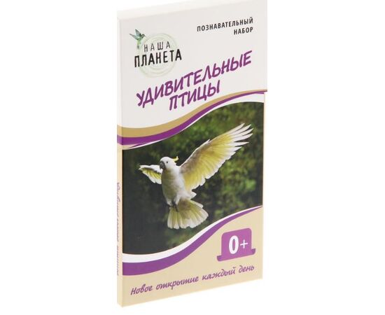 Познавательный набор "Удивительные птицы"