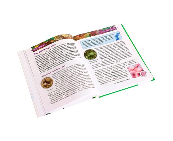 Детская энциклопедия "Мир растений"