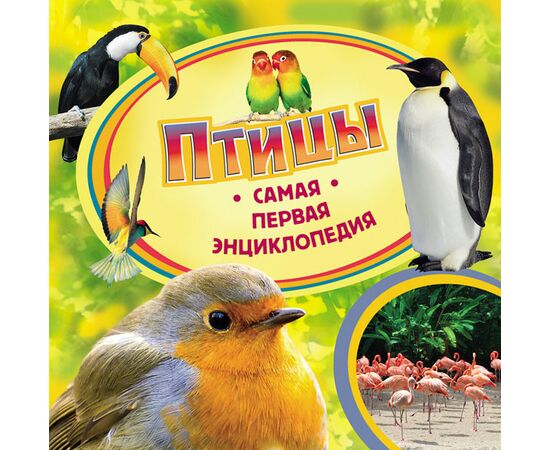 Книга "Птицы. Самая первая энциклопедия"