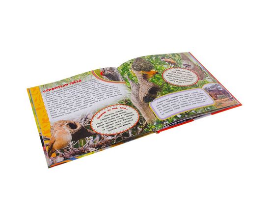 Книга "Птицы. Самая первая энциклопедия"