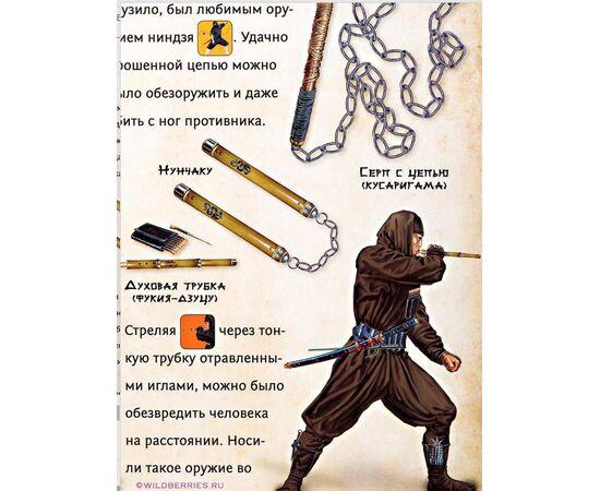 Книга со звуком "Самураи и ниндзя"
