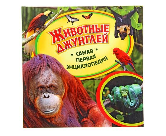Книга "Животные джунглей. Самая первая энциклопедия"