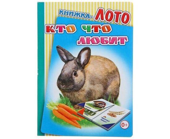 Книжка-лото "Кто что любит?"