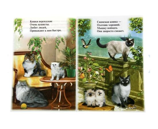 Книжка с наклейками "Кошки"