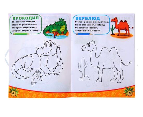 Рисуем и раскрашиваем "Животные южных стран"