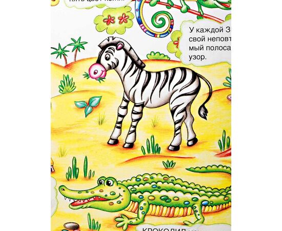 Книга "Чудесный мир" + 1000 магнитов