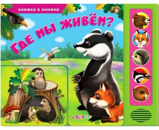 Книга музыкальная "Где мы живем?"