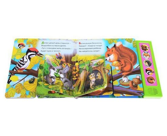 Книга музыкальная "Где мы живем?"