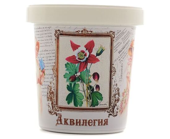 Набор для выращивания растения "Аквилегия"