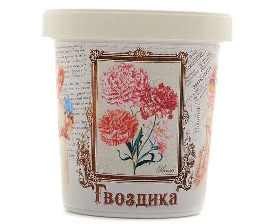 Набор для выращивания растения "Гвоздика"