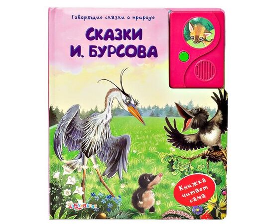 Говорящая книга "Сказки И. Бурсова"