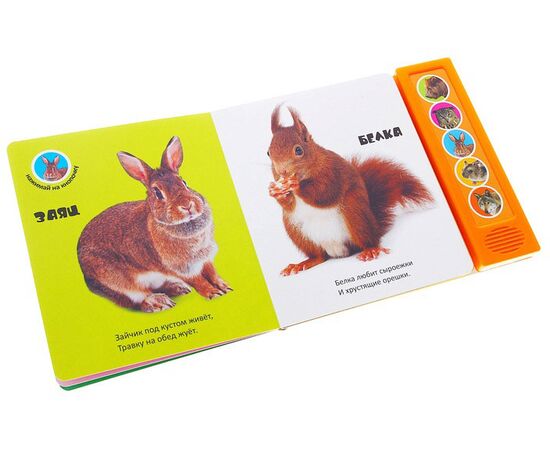 Книга со звуком "Лес"