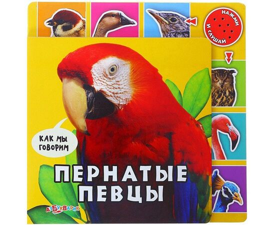 Книга "Пернатые птицы" музыкальная