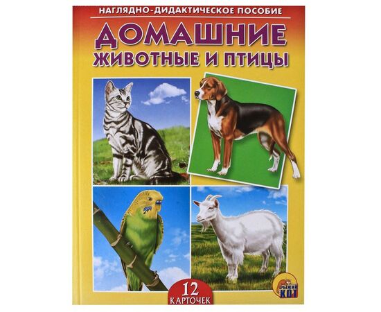 Наглядно - дидактическое пособие "Домашние животные и птицы"