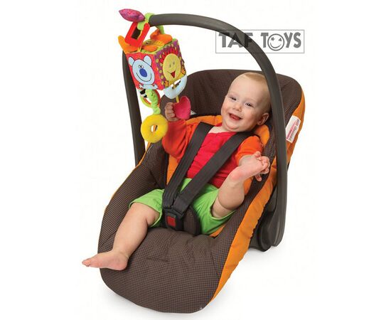 Развивающий кубик для малышей Taf Toys