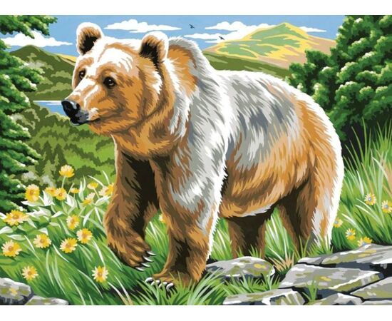 Роспись по холсту по номерам "Медведь", 30×40 см