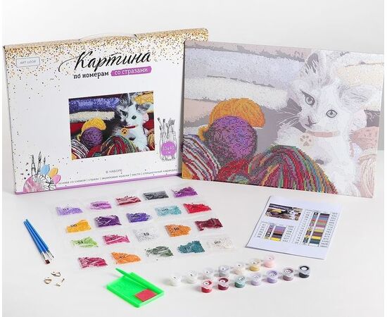 Роспись по номерам и алмазная вышивка "Кот", 30 х 40 см