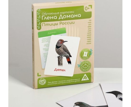 Обучающие карточки Глена Домана "Птицы России"