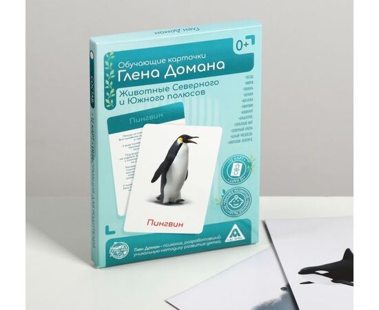 Обучающие карточки Глена Домана "Животные Северного и Южного полюсов"
