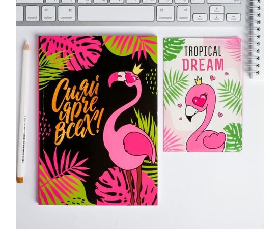 Подарочный набор "Обложка для паспорта и ежедневник. Сияй ярче всех Фламинго"