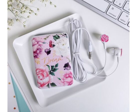 Подарочный набор "Наушники вакумные и Power Bank 5000 mAh. Dream"