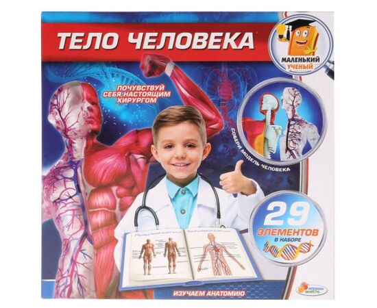Развивающий набор "Тело человека", 29 элементов