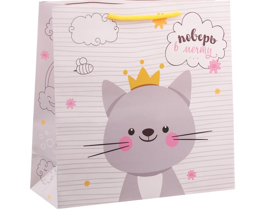 Где получить подарок поверь в мечту. Упаковка подарок котики. Подарочный пакет с котами. Пакет подарочный поверь в мечту. Пакет ламинированный квадратный «счастье ждет тебя», 22 × 22 × 11 см.